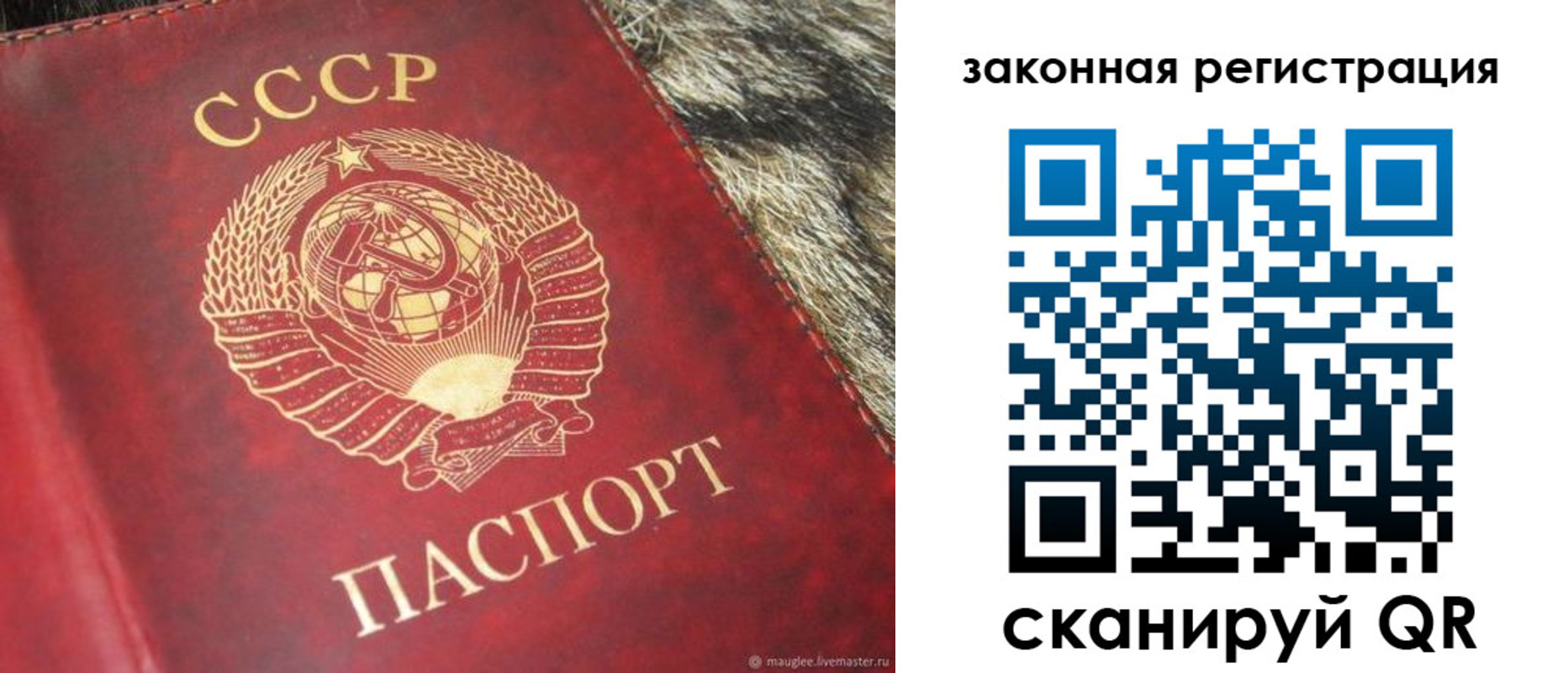 прописка от собственника в Минеральных Водах